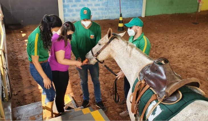 Retomada das aulas no Centro de Equoterapia faz diferença na rotina dos praticantes