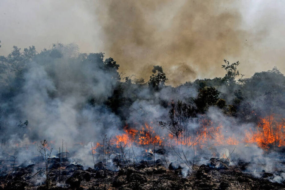 Fogo invade e consome a floresta em Apui, sul do Estado do Amazonas, em agosto de 2019.
