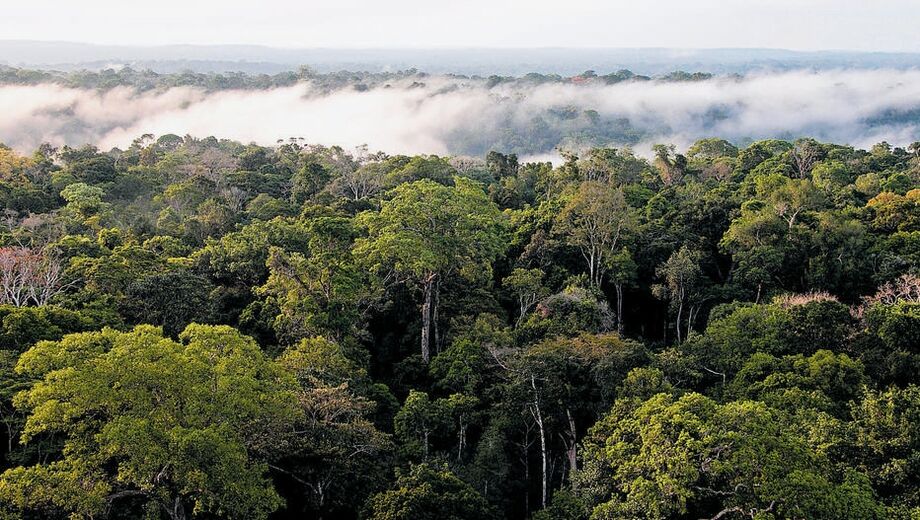 Vista de parte da Floresta Amazônica