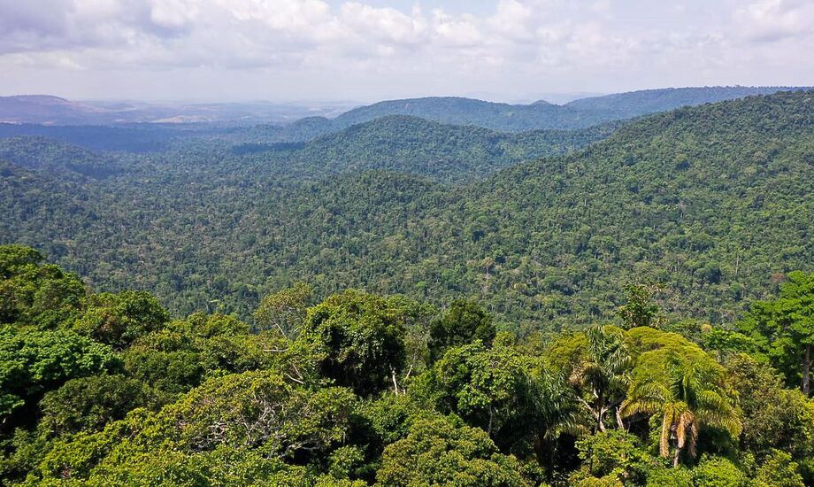 Natureza do Brasil