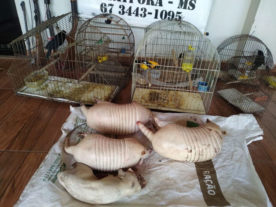 PMA de Batayporã prende e autua em R$ 36,5 mil dois caçadores e apreende três tatus e uma cutia abatidos, seis aves silvestres em cativeiro e quatro espingardas de caça e munições
