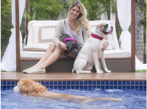 Giovanna Ewbank e Bruno Gagliasso participam de projetos em defesa dos animais.