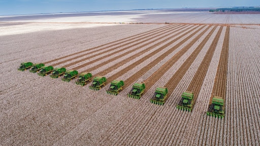 Safra Agrícola