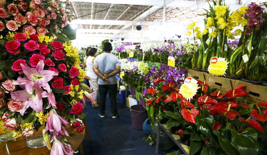 A maior variação, de 500%, foi observada nas floriculturas