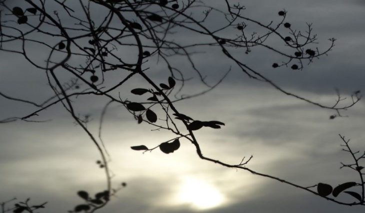 Nas demais áreas o sol deve aparecer entre nuvens
