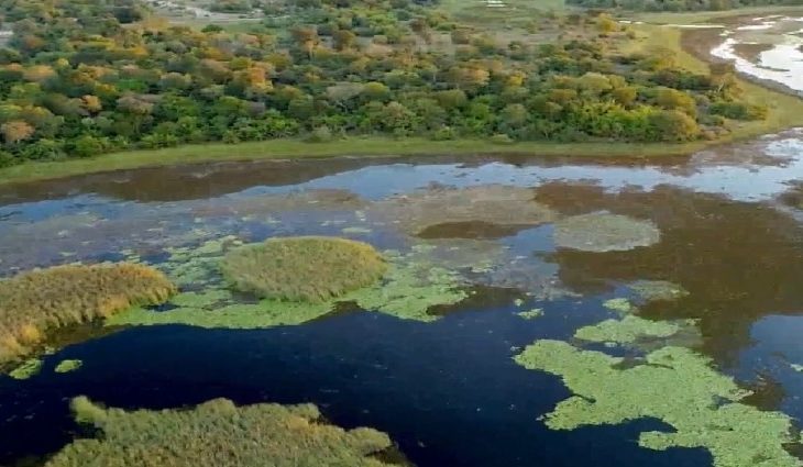 Pantanal sul-mato-grossense