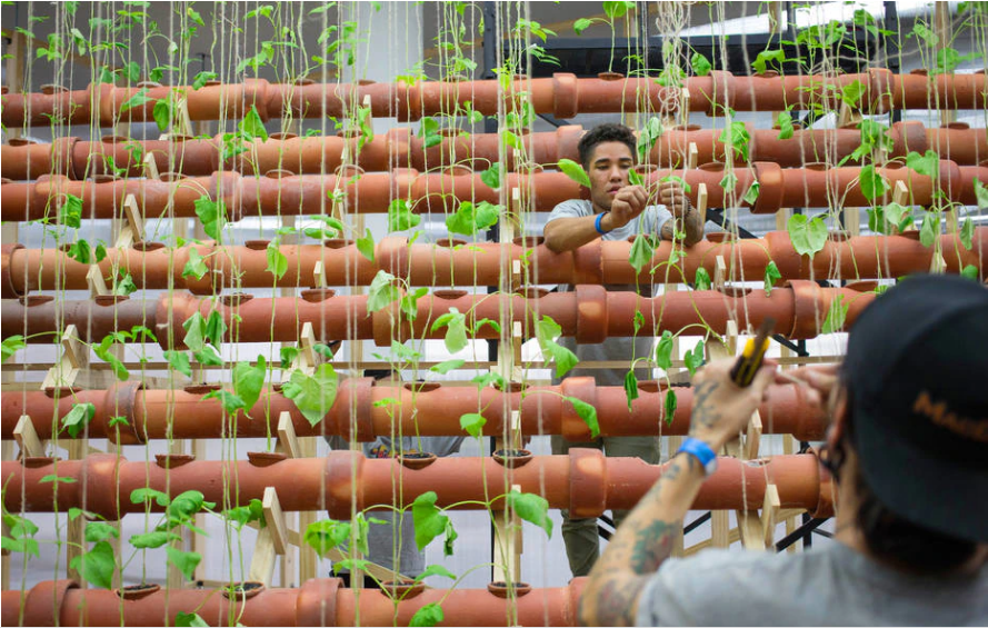 Instalação da Bienal de Artes de São Paulo