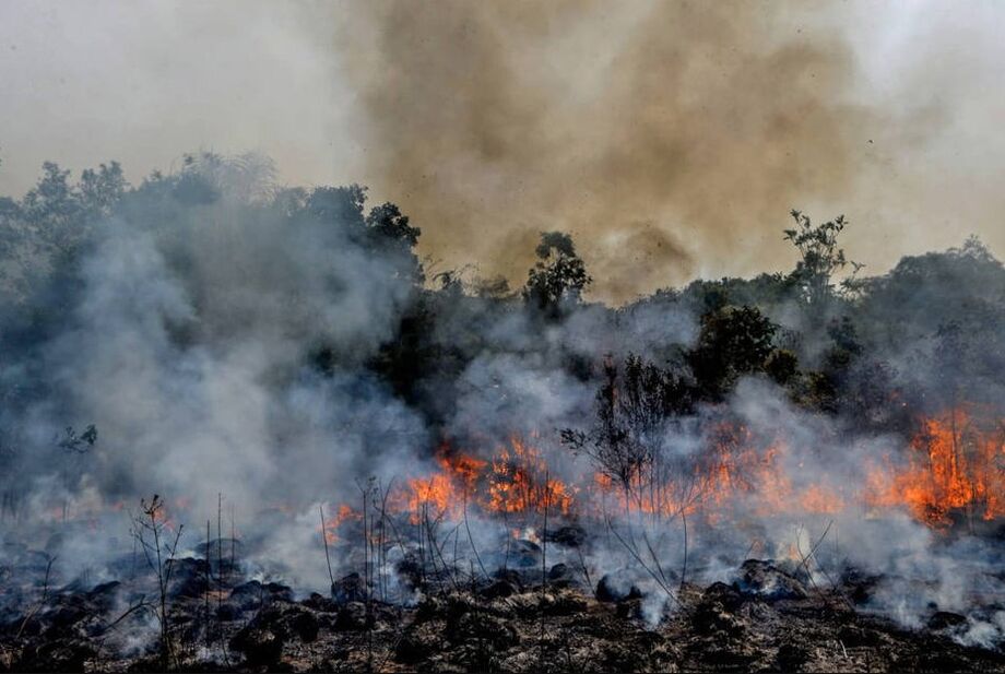 Fogo invade e consome a floresta em Apui, sul do Estado do Amazonas, em agosto de 2019
