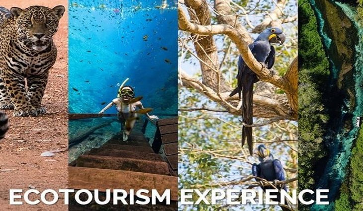 Turismo Divulgação