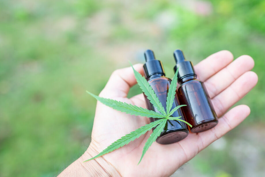 Anvisa facilita acesso à cannabis medicinal