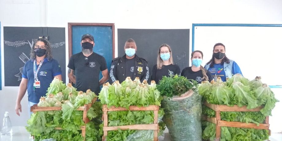 Produção de Hortaliças