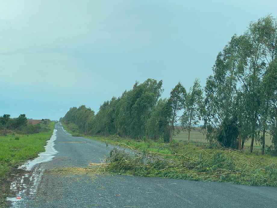 Temporal causou estragos na região sul de MS