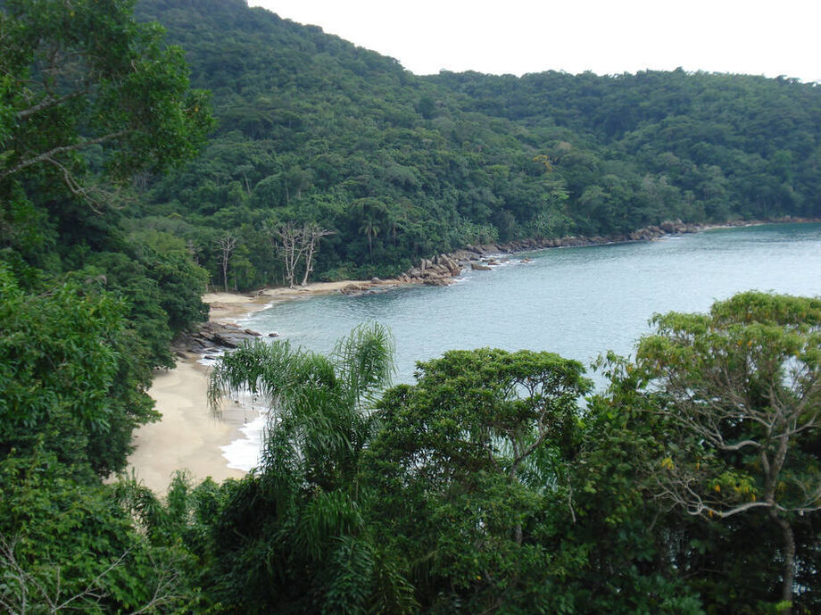 Ubatuba, no litoral paulista; Equipes fazem busca na região atrás de desaparecidos após queda de avião