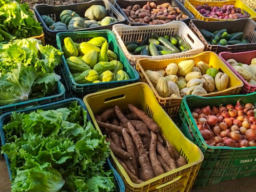 Alimentos