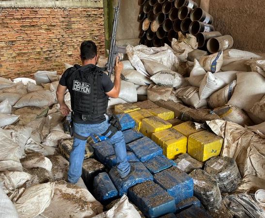 As drogaas estavam armazenadas em um depósito de sementes localizado no bairro Jardim Independência