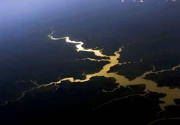Floresta Amazônica