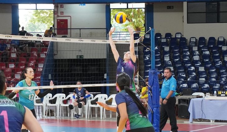 Liga MS do Vôlei
