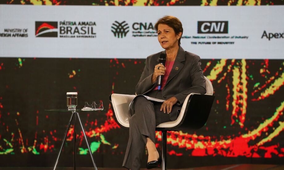 A ministra da Agricultura, Pecuária e Abastecimento, Tereza Cristina