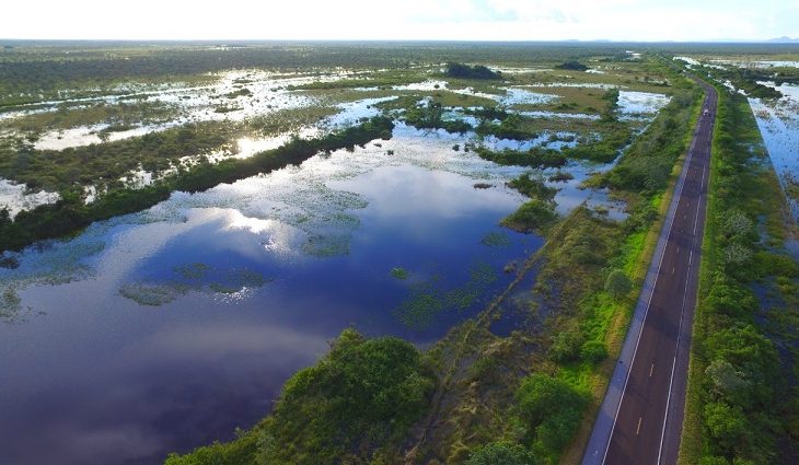 Pantanal