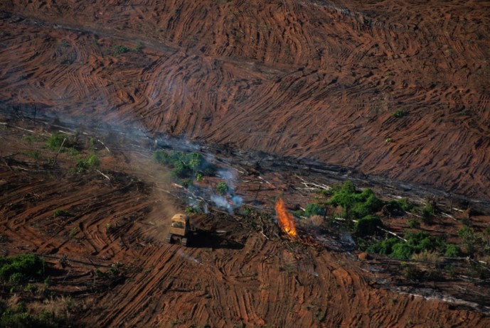 Em 2020, a devastação na Amazônia Legal atingiu uma área de 10.500 km²