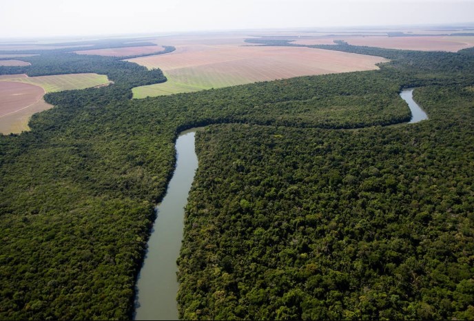 A área que essas florestas ocupavam foi quase totalmente (95%) convertida para a ocupação das atividades agropecuárias, pastagens ou cultivos