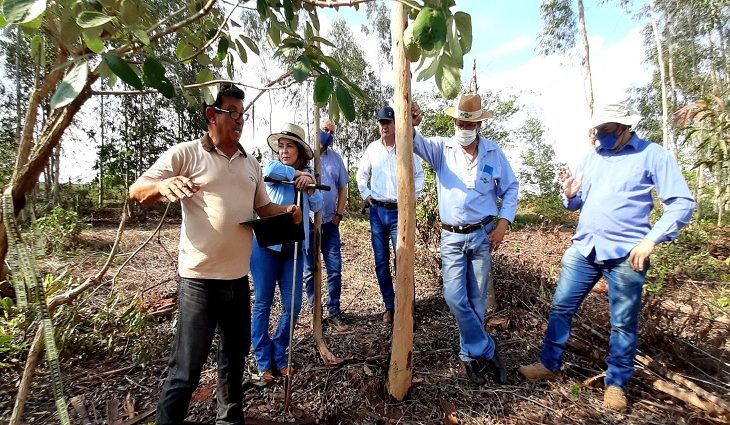Durante dois dias o Superintendente de Ciência e Tecnologia, Produção e Agricultura Familiar da Semagro, Rogério Beretta, conferiu de perto a rotina de trabalho das equipes