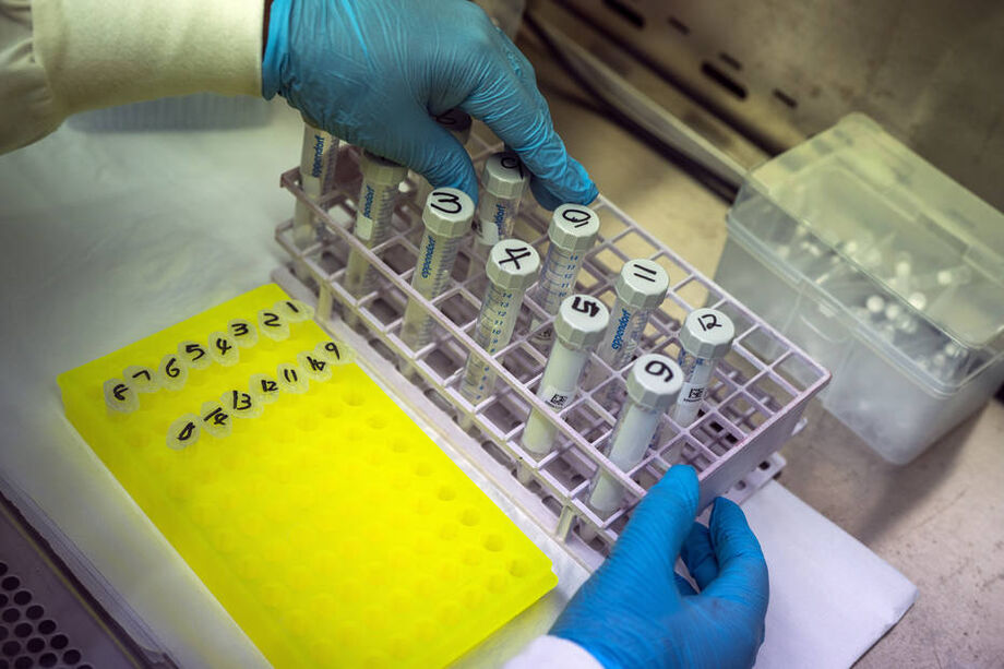 Cientista prepara amostras para sequenciar variante Ômicron na África do Sul