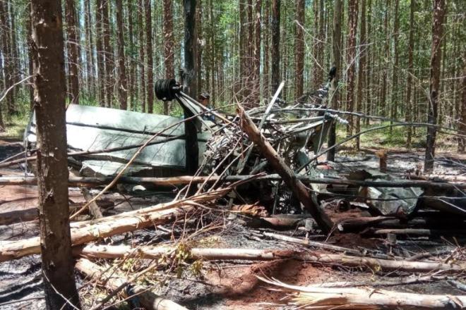 Avião pegou fogo depois de cair em fazenda. (Foto: Divulgação/Bombeiros)