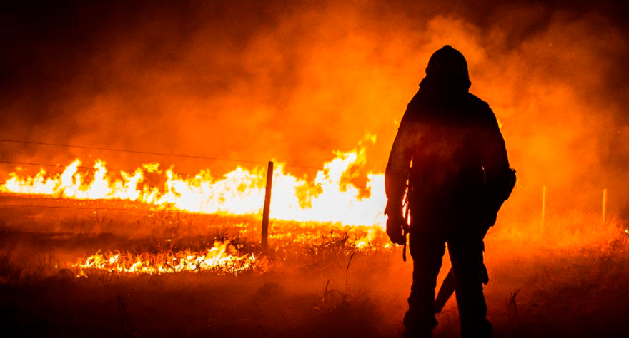 Incêndios no Pantanal