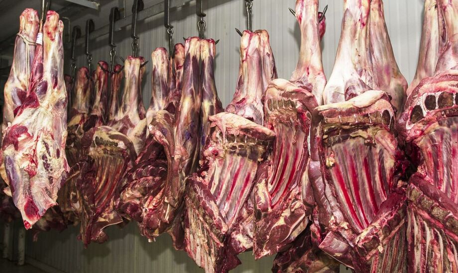 Importação de Carnes
