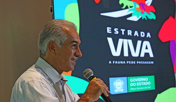 Governo e Ongs lançam manual para proteger animais silvestres de atropelamentos nas rodovias