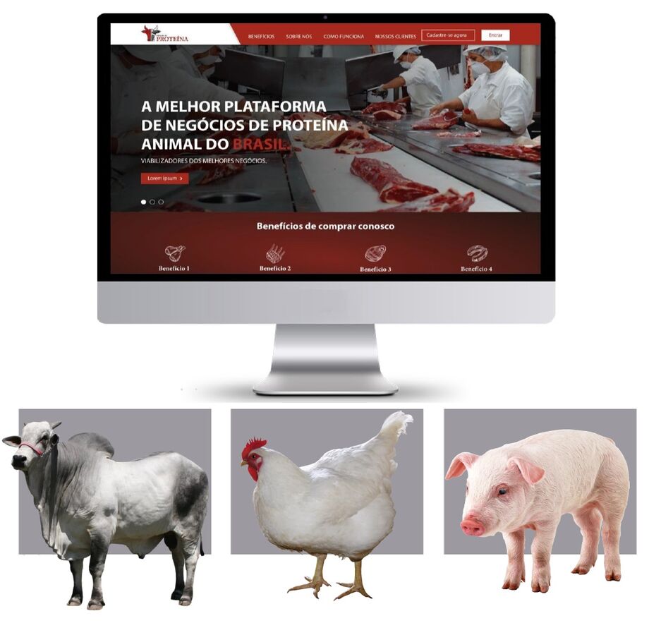 O sistema do mercado da proteína animal permite segurança nas negociações entre compradores e vendedores, evitando leilões de preços e potencializando as negociações entre os elos da cadeia de aves, bovino, caprinos, peixes e suínos.