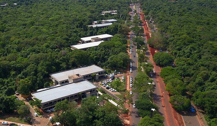 Sábado tem Amigos do Parque, mas frequentadores devem ficar atentos às obras