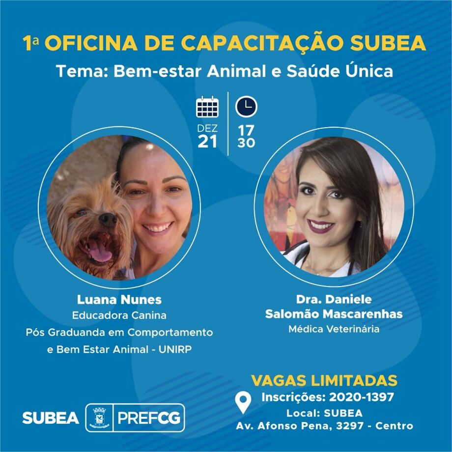As palestras acontecerão às 17h30 na Subsecretaria do Bem-Estar Animal, na Av. Afonso Pena, 3297, Térreo, Centro