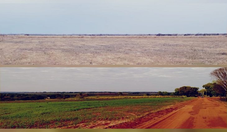 Produção de fertilizantes organominerais