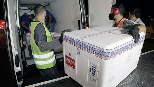 Primeiro lote que chegou em MS