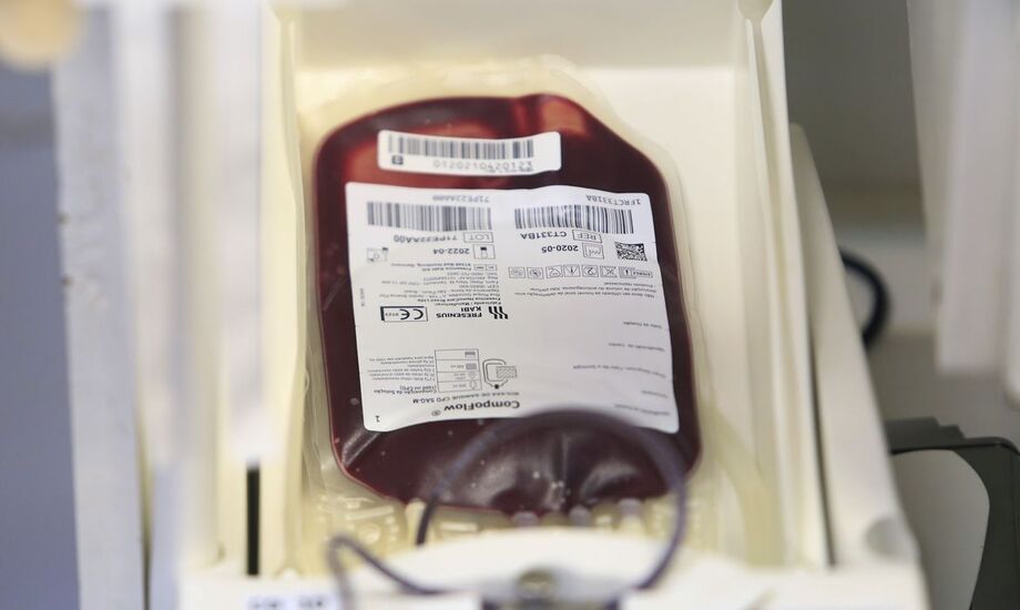 Sangue