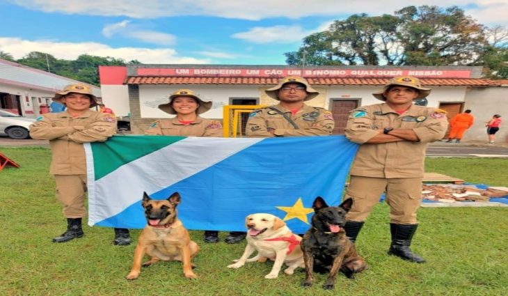 Cães Corpo de Bombeiros