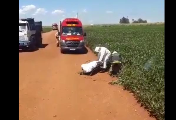 O rapaz foi encontrado em meio a uma plantação