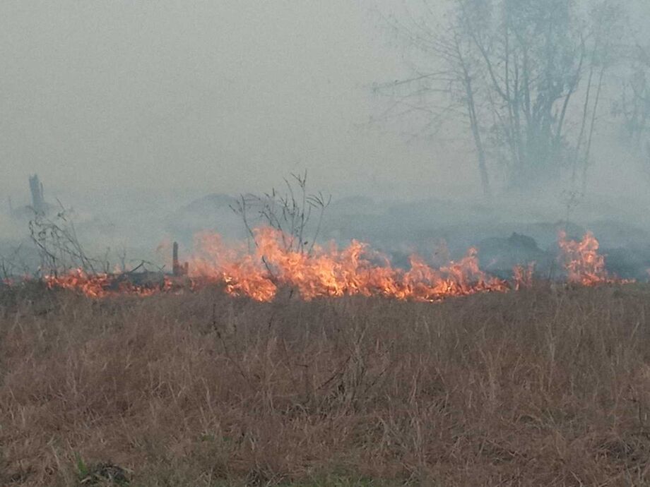 Incêndio em Bataguassu