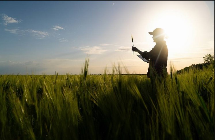 Agronegócio deve impulsionar economia brasileira, mas mercado espera aumento de 0,5% no PIB para 2022