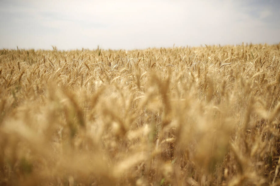 Guerra na Ucrânia deve elevar preços de alimentos no Brasil.