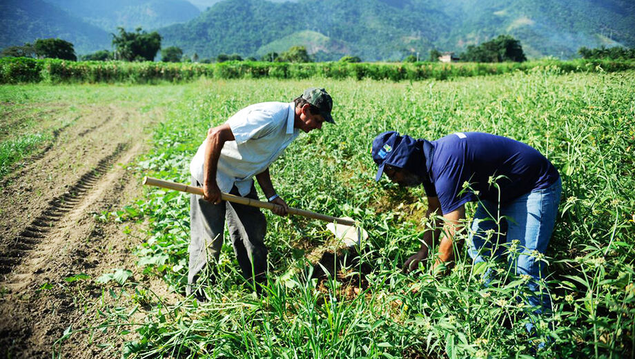 No início da semana, a imprensa nacional noticiou que o Tesouro Nacional havia suspendido temporariamente as contratações de crédito rural nas linhas subsidiadas do Plano Safra 2021/2022