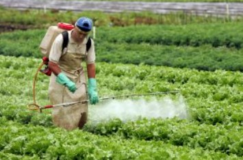 Aplicação de agrotóxicos em hortaliças