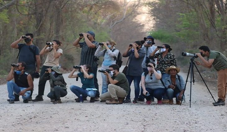 Brasil é um dos países com maior diversidade de aves no mundo com 1.971 espécies