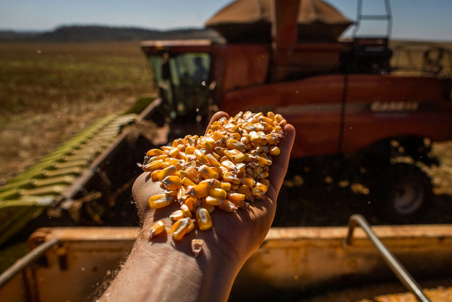 De acordo com a análise do departamento de economia da Aprosoja/MS - Associação dos Produtores de Soja e Milho de Mato Grosso do Sul, houve uma alta de aproximadamente 150%