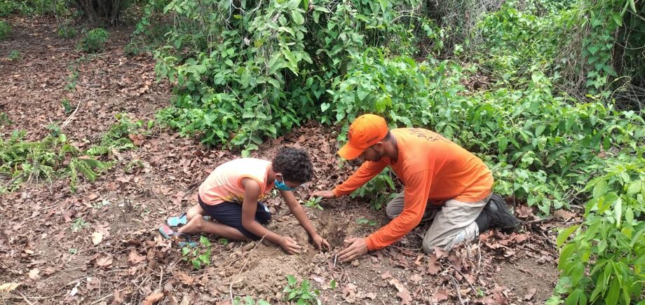 Brigada plantando
