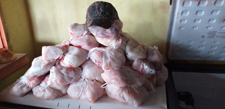 Carnes foram apreendidas