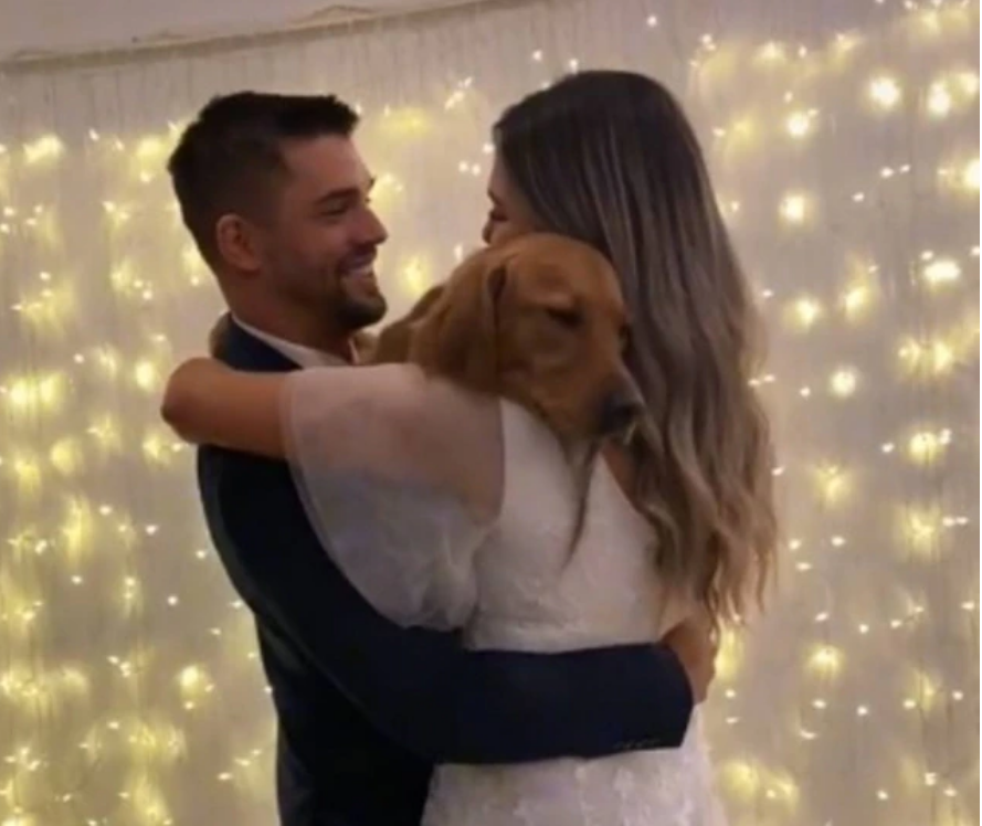 Casal faz dança de casamento com cão e vídeo viraliza