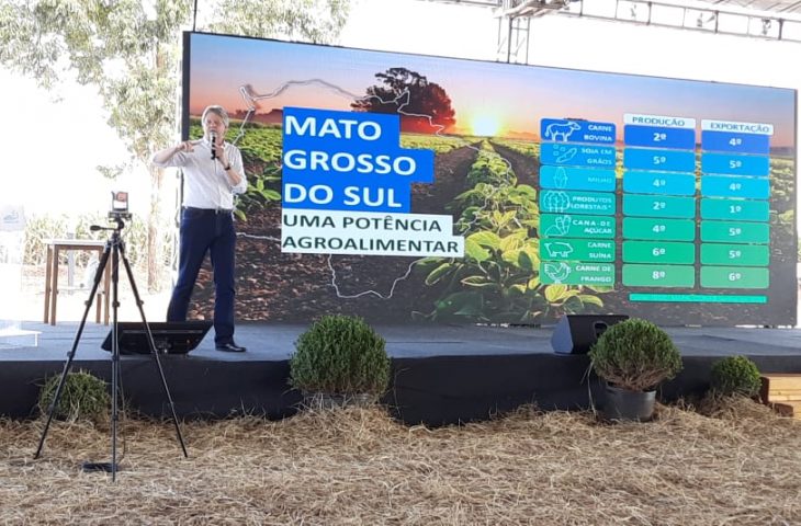 Área ocupada por soja em Mato Grosso do Sul deve crescer 22% em três anos, aponta estudo